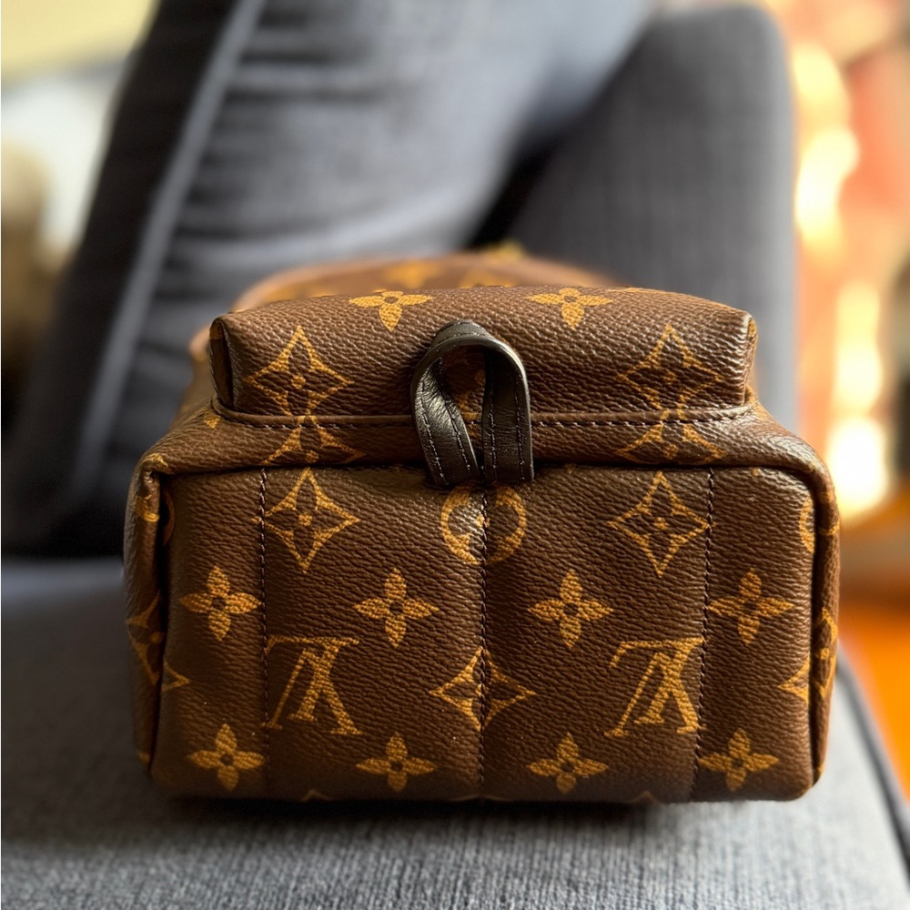 Louis Vuitton Monogram Mini Palm Spring Backpack - Picture 8 of 16